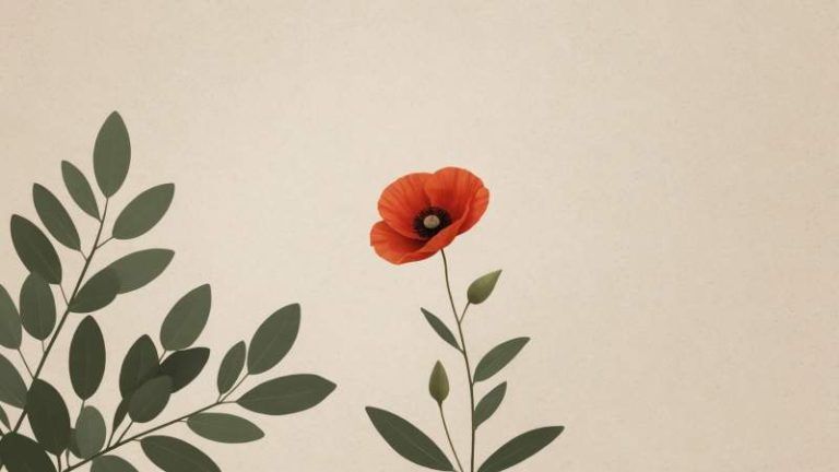A red poppy flower with eucalyptus leaves on a beige background symbolizing Remembrance Day in Australia.