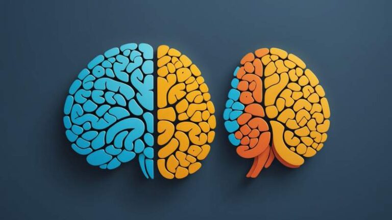An abstract illustration showing a brain divided into warm and cool halves symbolizing bipolar disorder awareness in Australia.