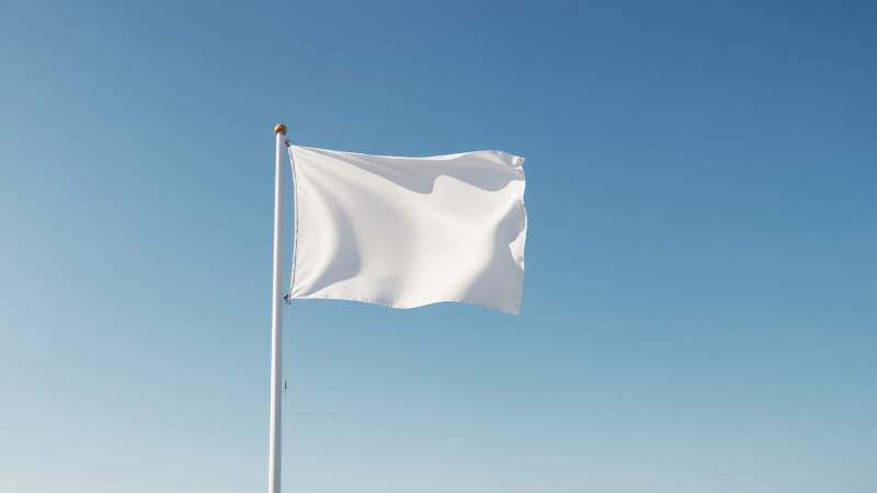 A minimalist illustration of a white flag on a pole symbolizing surrender and acceptance.
